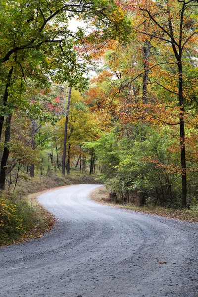 Vibrante camino sinuoso colorido — Foto de Stock