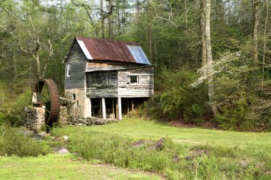 Ormanın kenarına Grist değirmen