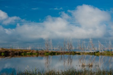 Gölün üzerine düşünceler