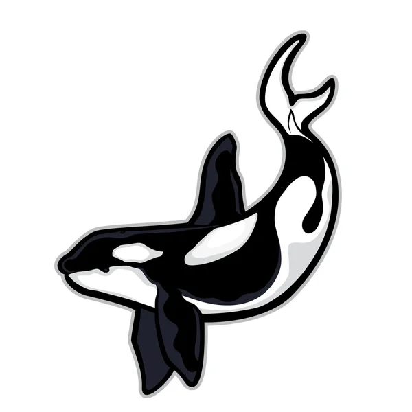 Ballena asesina o mascota orca — Archivo Imágenes Vectoriales