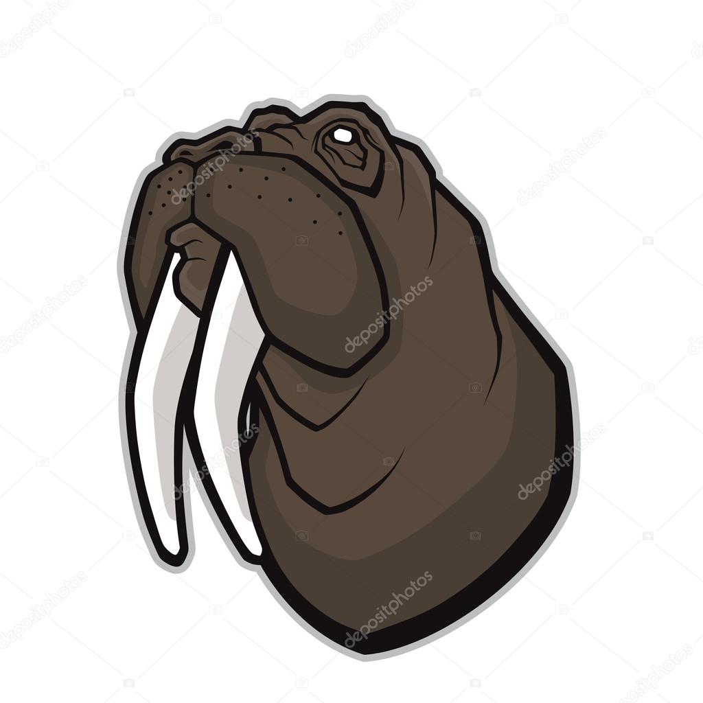 Clipart picture of a walrus head cartoon mascot character