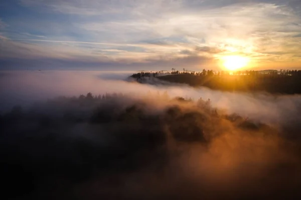 Wald Nebel Zur Goldenen Stunde Dämmerung Sonnenaufgang Reiseziel Harz Nationalpark — Stockfoto