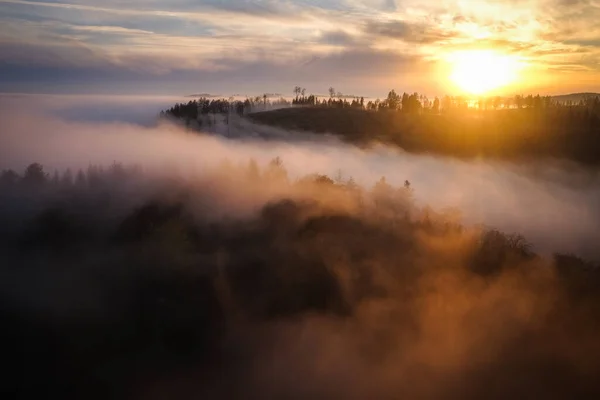 Ліси Тумані Золоту Годину Сутінки Сходу Сонця Місце Призначення Harz — стокове фото