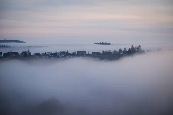 Wald Nebel Zur Goldenen Stunde Dämmerung Sonnenaufgang Reiseziel Harz Nationalpark — Stockfoto