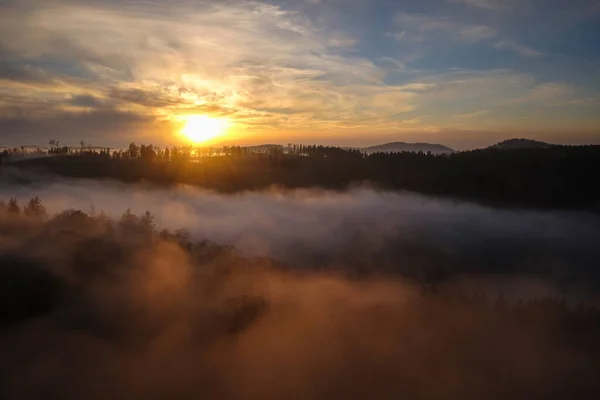 Ліси Тумані Золоту Годину Сутінки Сходу Сонця Місце Призначення Harz — стокове фото