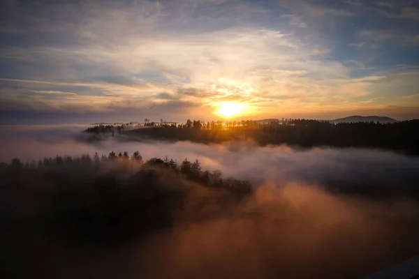 Wald Nebel Zur Goldenen Stunde Dämmerung Sonnenaufgang Reiseziel Harz Nationalpark — Stockfoto