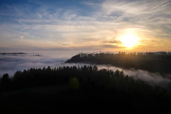 Bois Dans Brume Heure Dorée Crépuscule Lever Soleil Destination Harz Images De Stock Libres De Droits