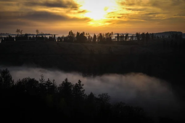 Bois Dans Brume Heure Dorée Crépuscule Lever Soleil Destination Harz Photo De Stock