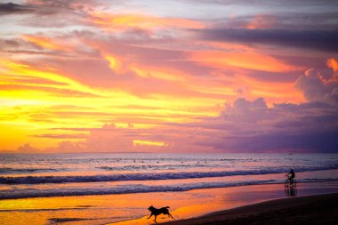 Renkli gün batımı. İnsanlar ve köpekler sahilde oynuyorlar. Ubud, Bali, Endonezya