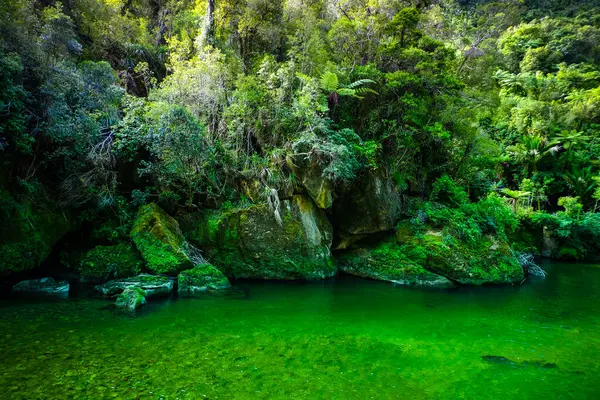 Rivière Avec Eau Verte Colorée Nouvelle Zélande Île Sud Images De Stock Libres De Droits