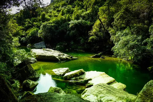 Rivière Nouvelle Zélande Île Sud Photos De Stock Libres De Droits