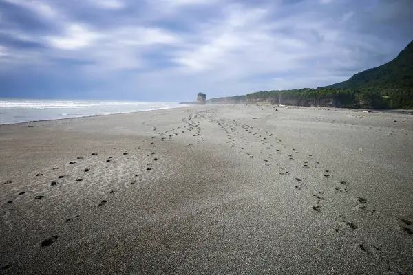 Pas Dans Sable Plage Sur Île Nouvelle Zélande Images De Stock Libres De Droits