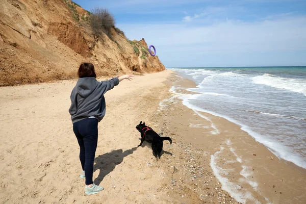 海でビーチで遊ぶラブラドール黒犬ペット. — ストック写真