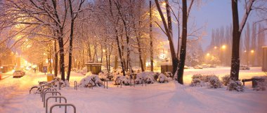 Karla kaplı ağaçlarla kaplı şehir manzarası