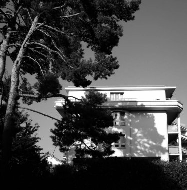 Uzun bir ağacın yanındaki ev.