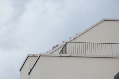 Modern bir binanın çatısına yakın.