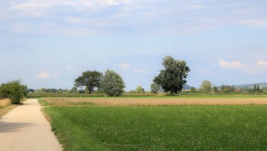 kırsal alanların ve ağaçların olduğu panoramik manzara