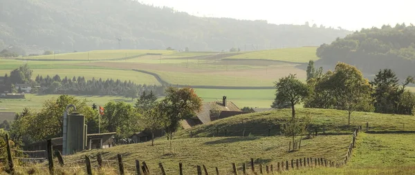 Landschap Met Velden Bomen Zomer — Stockfoto