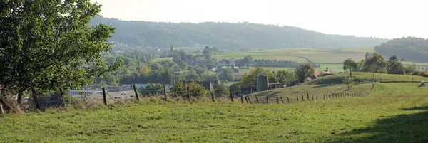 Landschap Met Velden Bomen Zomer — Stockfoto