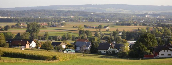 Rural Landscape Summer — Stock Photo, Image