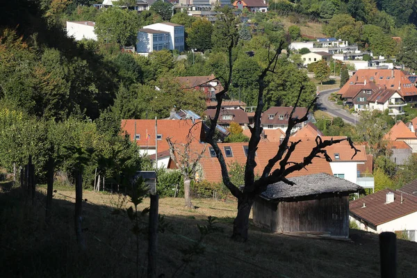 Ländliche Landschaft Mit Häusern Und Altem Baum — Stockfoto