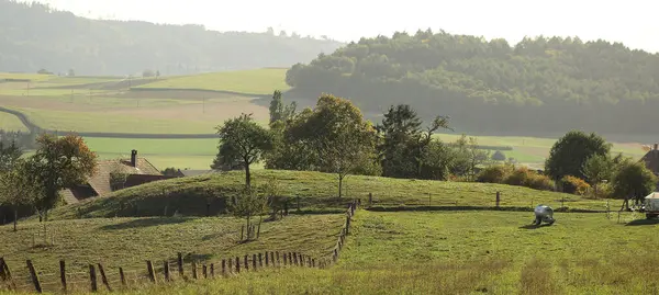 Landschap Met Velden Bomen Zomer — Stockfoto