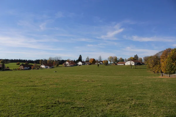 Wiese Und Häuser Grünen — Stockfoto