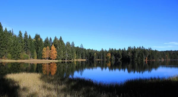 Blick Auf Einen Kleinen See — Stockfoto