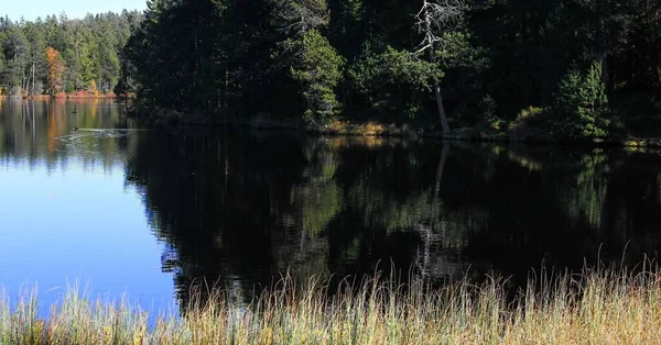 Kilátás Tóra Egy Napsütéses Őszi Napon — Stock Fotó