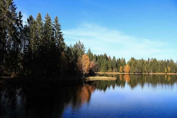 Paisaje Forestal Con Lago Otoño —  Fotos de Stock