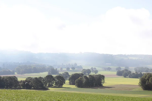 Paisagem Idílica Com Prado Árvores — Fotografia de Stock