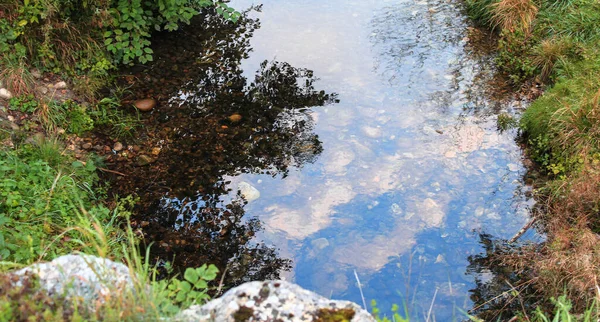 Wasserspiegelungen Einem Kleinen Bach — Stockfoto