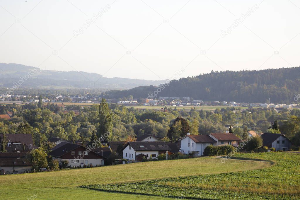 rural landcape with forest hills in summer