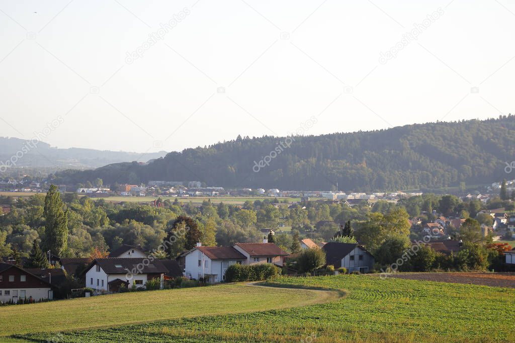 rural landcape with forest hills in summer