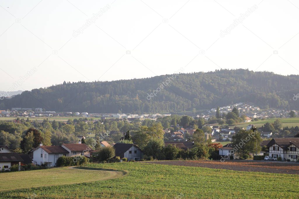 rural landcape with forest hills in summer
