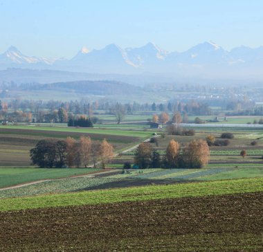 Ağaçlı ve tarlalı manzara