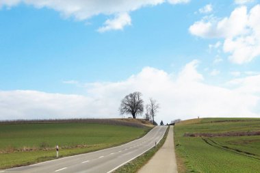 Tepeye çıkan bir yol.