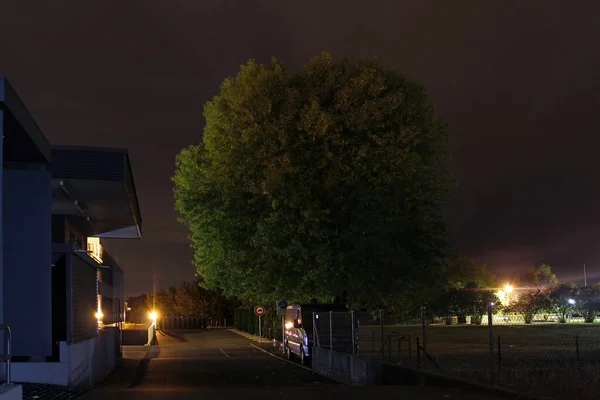 夜に工場近くの木が — ストック写真