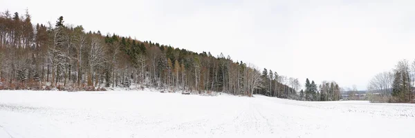 Paisaje Forestal Invierno —  Fotos de Stock