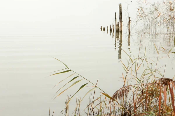 Lakeshore View November — Stock Photo, Image