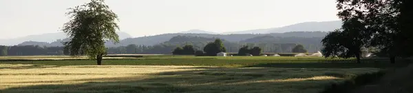 Agrarlandschaft Mit Feld Und Baum — Stockfoto