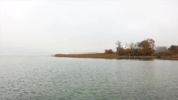 Ribera del lago — Vídeo de stock
