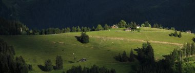 Gün batımında evleri ve çayırları olan bir dağlık orman tepesi.