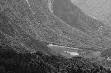 Yazın alp çayırı