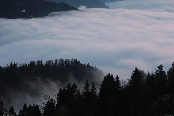 Alpint Landskap Med Skogskullar Dimmigt Väder — Stockfoto
