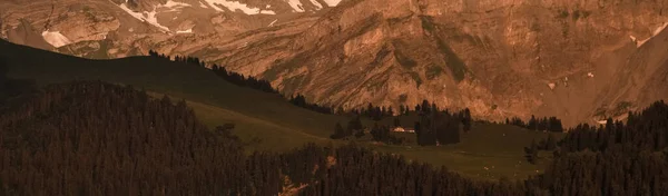 Альпійський Пейзаж Лісовим Хребтом Заході Сонця — стокове фото