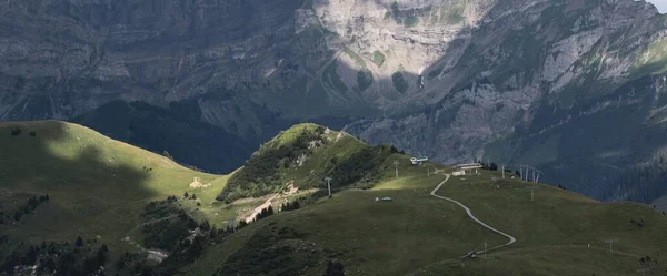 Alpenweide Zomer — Stockfoto