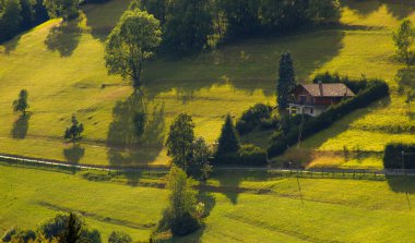 Yazın bir dağ yamacı