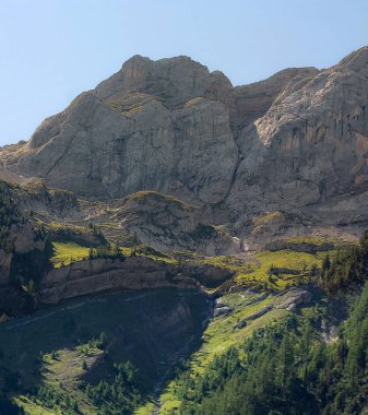Yazın bir dağ yamacının manzarası