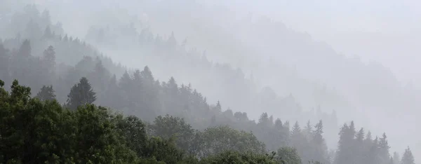 Pendio Montagna Con Alberi Nel Tempo Nebbioso — Foto Stock